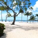 Cayman Kai, Caymankai, Caymankai Vacation Villas, Cayman Islands Vacation Villas, Grand Cayman, Grand Cayman Villas, Garden of The Kai #3